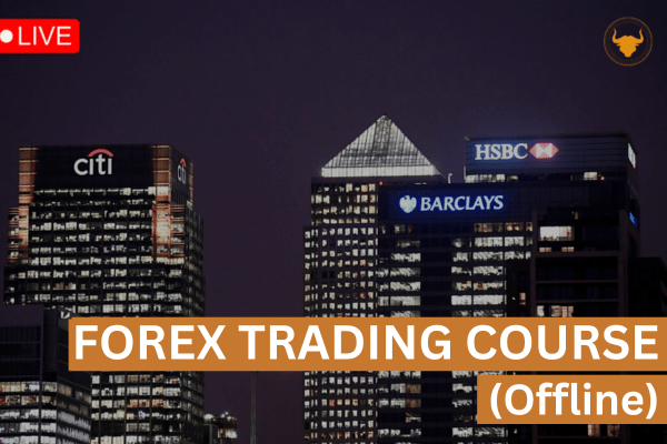 Forex Trading Course (Offline) (Updated)
